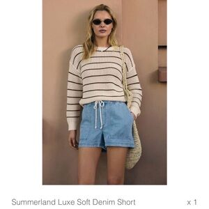 Z Supply Summerland Luxe Soft Denim Shorts